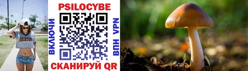Псилоцибиновые грибы Psilocybine cubensis  Фурманов 